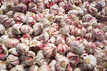 Image showing Garlic bulbs