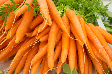 Image showing Carrots