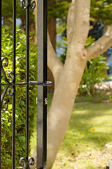 Image showing Garden door