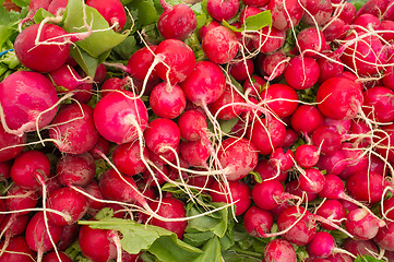 Image showing Fresh radish