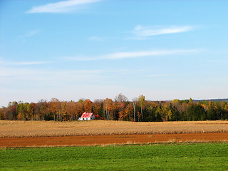 Image showing Rural house in the colourful autumn field