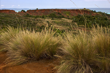 Image showing hill bush plant lagoon 