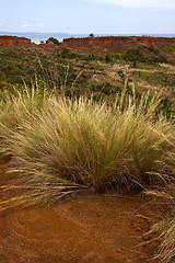 Image showing hill bush plant lagoon and coastlinemadagascar 