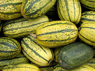 Image showing A variety of squash on a marketplace