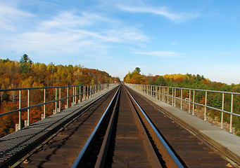 Image showing One-way train track crossing the wood