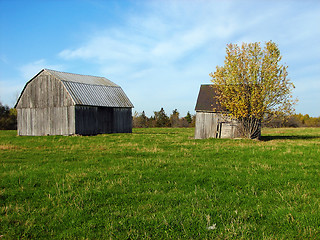 Image showing Old wooden barns in the green field