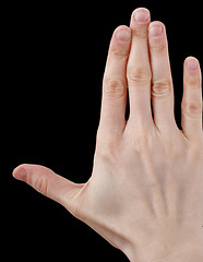 Image showing White hand on black