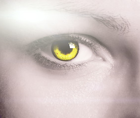 Image showing Beautiful eye 