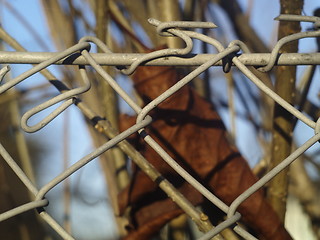 Image showing fence