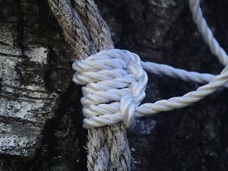 Image showing old and new ropes