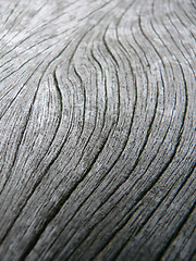 Image showing wooden surface macro