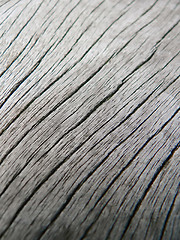 Image showing wooden surface macro