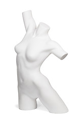 Image showing White Torso