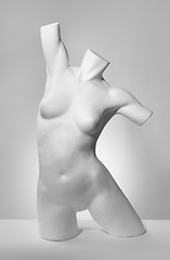 Image showing Torso