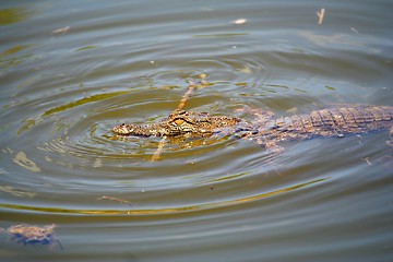 Image showing water fun