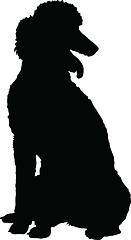 Image showing Poodle Silhouette