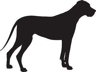 Image showing Great Dane Silhouette