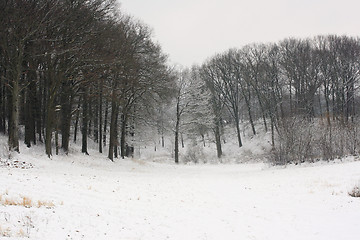 Image showing winter world