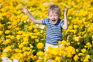 Image showing kid at the flower field