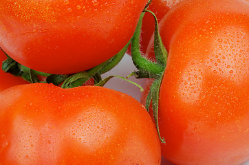 Image showing Tomatoes with Stems