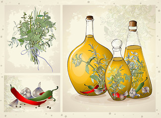 Image showing Illustration of spices, spicy herbs, olive oil.