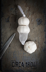 Image showing Garlic Still Life