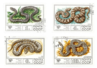 Image showing Old USSR mail stamps with snakes