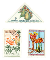 Image showing Gabon post stamps with plants