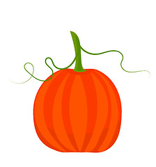 Image showing fall pumpkin
