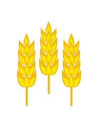 Image showing Three wheat ripe ears