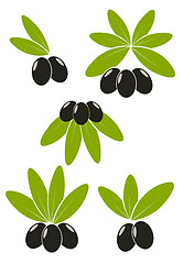 Image showing Olives with leaves