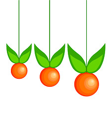 Image showing Three oranges