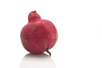 Image showing pomegranate fruit 