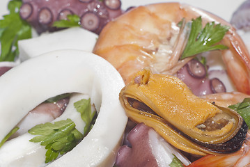 Image showing Seafood salad.