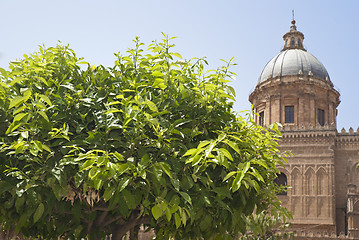 Image showing Detail of garden in Palermo Cathedral
