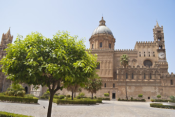 Image showing Detail of garden in Palermo Cathedral