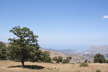 Image showing Beautiful landscape of Nebrodi mountains