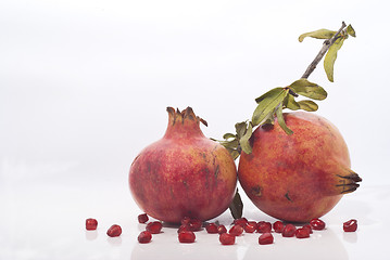 Image showing pomegranates with leaves