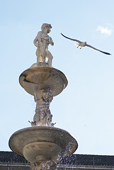 Image showing Pretoria Fountain with wather drops in Palermo