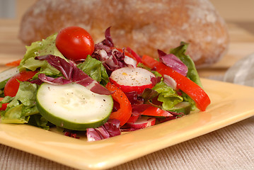 Image showing A side view of a crisp healthy salad on a yellow plate with rust