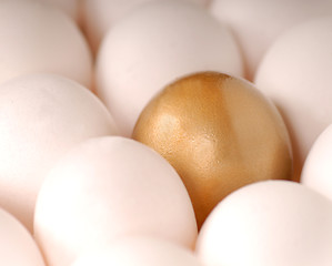 Image showing A golden egg surround by white eggs