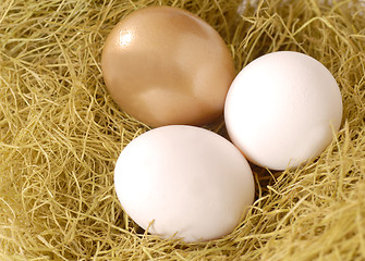 Image showing A golden egg and two white eggs in a nest
