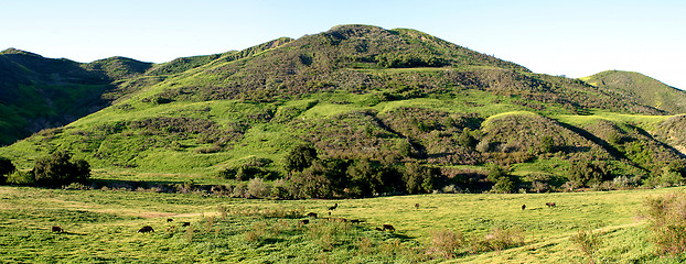 Image showing Green Valley