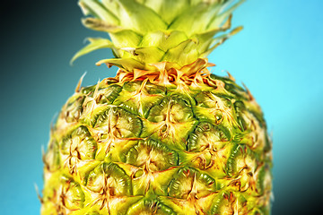 Image showing Closeup pineapple on blue