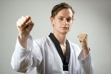 Image showing Taekwon-Do double block