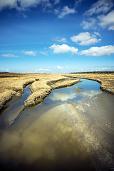 Image showing Dunes with water