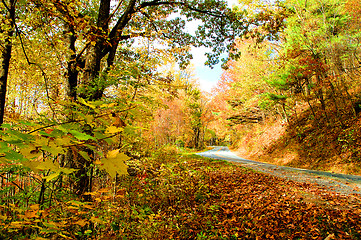 Image showing mountain fall road