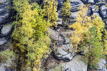 Image showing Stairs up to Lilienstein