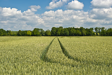 Image showing Agriculture in Bavaria Germany