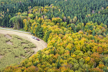 Image showing Forest with tractor in Saxony Switzerland